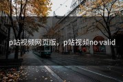 p站视频网页版，p站视频no valid