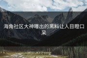 海角社区大神曝出的黑料让人目瞪口呆