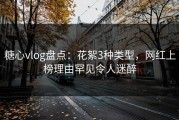糖心vlog盘点：花絮3种类型，网红上榜理由罕见令人迷醉