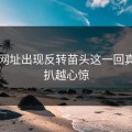 51网网址出现反转苗头这一回真的越扒越心惊