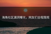 海角社区漏洞曝光，网友们全程围观