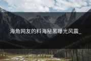 海角网友的料海秘黑曝光风震_