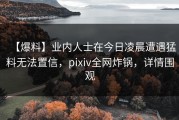 【爆料】业内人士在今日凌晨遭遇猛料无法置信，pixiv全网炸锅，详情围观