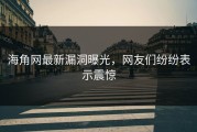 海角网最新漏洞曝光，网友们纷纷表示震惊