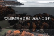 吃瓜路径揭秘合集！海角入口爆料