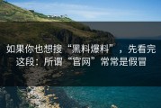 如果你也想搜“黑料爆料”，先看完这段：所谓“官网”常常是假冒