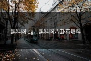 黑料网 cg，黑料网八卦有爆料