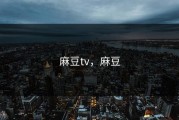 麻豆tv，麻豆