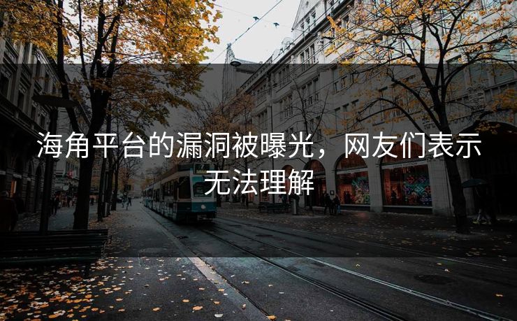 海角平台的漏洞被曝光，网友们表示无法理解