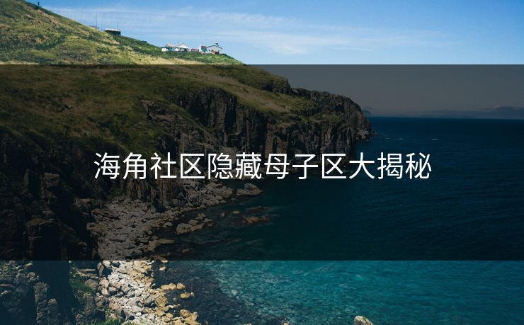 海角社区隐藏母子区大揭秘