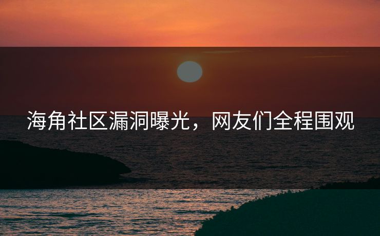 海角社区漏洞曝光，网友们全程围观