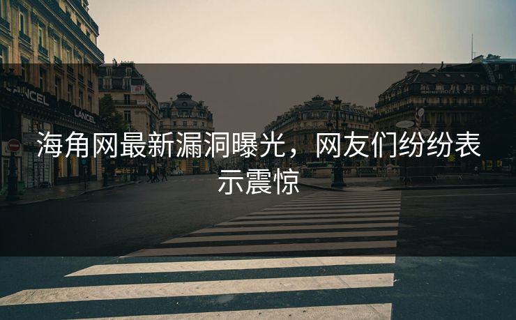 海角网最新漏洞曝光，网友们纷纷表示震惊