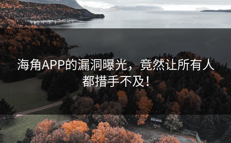 海角APP的漏洞曝光，竟然让所有人都措手不及！
