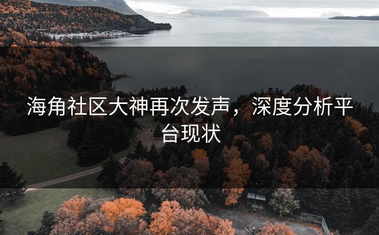 海角社区大神再次发声，深度分析平台现状