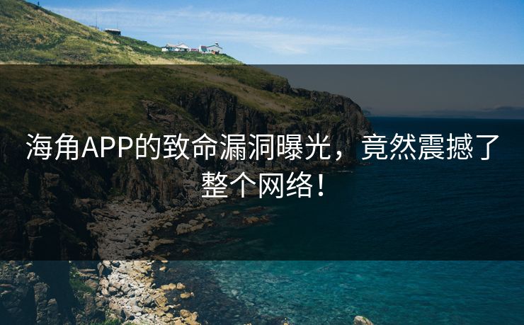 海角APP的致命漏洞曝光，竟然震撼了整个网络！