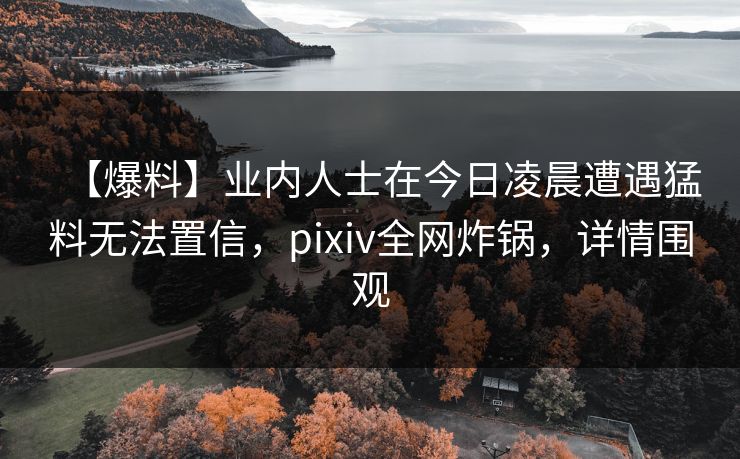 【爆料】业内人士在今日凌晨遭遇猛料无法置信，pixiv全网炸锅，详情围观