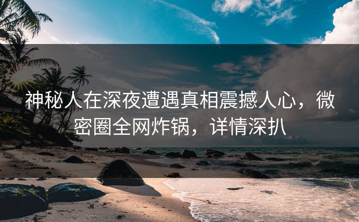 神秘人在深夜遭遇真相震撼人心，微密圈全网炸锅，详情深扒